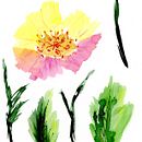 Meu projeto do curso: Técnicas de ilustração para liberar sua criatividade Ein Projekt aus dem Bereich Bildende Künste, Kreativität, Zeichnung, Artistische Zeichnung und Aquarellmalerei von Bruna Cavenaghi - 26.12.2019