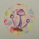 Cortinarius magellanicus. Projekt z dziedziny Malowanie akwarelą użytkownika Sandra Ilave - 26.12.2019