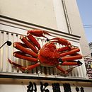 Rincones Japón. Een project van  Scenografie, Artistieke fotografie, Digitale fotografie y Buitenfotografie van Rebeca Camino - 27.01.2020