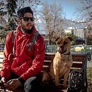 Mi Proyecto del curso: Introducción a la fotografía de perros. Fotografia projeto de Ivan Calderon - 04.01.2020