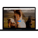 Myhera | Diseño web. Un proyecto de Desarrollo Web y Diseño Web de Sofía Fernández Balseiro - 08.01.2020
