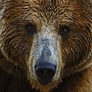 FOTOGRAFÍA ANIMAL. Un proyecto de Fotografía, Fotografía de retrato y Fotografía digital de Úrsula Gutiérrez Iranzo - 08.01.2020