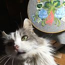 Mi Proyecto del curso: Técnica de bordado con paso atrás. Embroider project by Gabriela Contreras - 01.11.2020