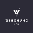 Winghung LED. Graphic Design, Br, ing, Identit, Logo Design, and Pattern Design project by Sonia Vidal Garcia - 01.30.2019