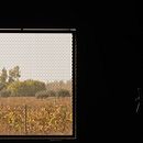Mi Proyecto del curso: Bodega (Introducción a la fotografía digital). Arquitetura, e Fotografia projeto de Julieta Pessina - 16.01.2020