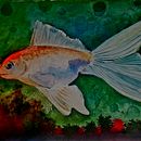 Pintura de Golden fish, en acuarela.. Un progetto di Pittura ad acquerello di Erwin Danilo Cárcamo López - 21.01.2020