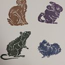 Mi Proyecto del curso: Colección de roedores. Un proyecto de Ilustración tradicional de laurasanchez96lopez - 27.01.2020
