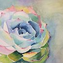 Treinamento em Aquarela . Lukisan Cat Air proyek oleh Sonia Bueno Affonso - 01.28.2020