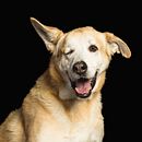 Los Invisibles. Un progetto di Fotografia di Miguel Valls - 28.01.2020