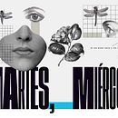 Projeto do curso: Colagem digital para meios editoriais. Criatividade, e Design editorial projeto de Renata Balerine - 31.01.2020