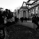 Comenzando en el apasionante mundo de la fotografía.. Fotografia projeto de Jorge Maroto - 31.01.2020