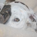 Leica & Lola. . Un proyecto de Fotografía de Adriana Bastidas - 01.02.2020
