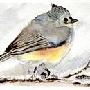 My course project : experimental watercolor techniques for beginners Ein Projekt aus dem Bereich Aquarellmalerei von laurence_quervel - 01.02.2020