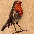 Projeto Passaro Robin - Pintar com linha Curso de Gimena Romero. Un projet de Broderie de Thais Mota Eriksson - 03.02.2020