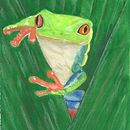 Meu projeto do curso: Técnicas experimentais de aquarela para principiantes . Un proyecto de Pintura a la acuarela de Tháles Cezar Rezende Guimarães - 07.02.2020