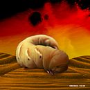 Gusano de Dune: Práctica Photoshop Básics. Un projet de Art conceptuel de Sergio Rojas Morales - 09.02.2020