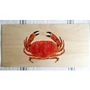 Buey de mar - seafood collection . % Natuca Requero tarafından hazırlanan Yaratıcılık, Çizim, Sanatsal Çizim, Gerçekçi Çizim, Geleneksel illüstras, Ve on projesi - 02.08.2020