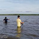 Meu projeto do curso: Iniciação ao retoque fotográfico com o Photoshop . Kreativitas, Desain, Dan Desain Set proyek oleh Rodrigo Martins - 02.10.2020