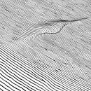 Just Lines. Design project by Natalie NVM - 02.12.2020