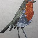 Mi Proyecto del curso: Pintar con hilo: técnicas de ilustración textil. Un progetto di Ricamo di Karol Betancourt - 13.02.2020