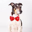 Mi sesión.. Een project van Portretfotografie van RAQUEL GARCIA - 16.02.2020