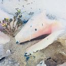 La felicidad se respira al pie del mar. . Un proyecto de Fotografía con móviles, Fotografía en exteriores y Paisajismo de carla figuereo castillo - 16.02.2020