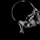 El Circo. Un proyecto de Fotografía documental de Isaac Márquez Pinaud - 10.12.2018
