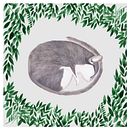 Aletargado. Un proyecto de Ilustración tradicional de María León - 01.02.2020
