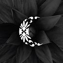 Luna de Puebla (Mezcal). Un progetto di Br, ing, Br e identit di yosreyes - 23.02.2020