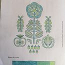 Mi Proyecto del curso: Teoría del color para proyectos textiles. Projekt z dziedziny  Haft użytkownika Verónica Castro Watson - 25.02.2020