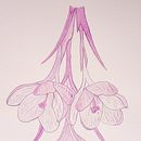 Mi Proyecto del curso: Técnicas modernas de acuarela . % Gloria Cisa Molins tarafından hazırlanan Güzel sanatlar projesi - 03.02.2020