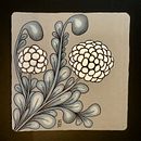 Karen signed up for Botanical Illustration with Watercolours previous attempts Ein Projekt aus dem Bereich Botanische Illustration von Karen - 03.03.2020