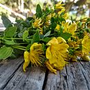 Kalendulas. DIY, E-commerce, e Educação projeto de Esther Valero - 04.03.2020