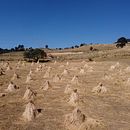 Mi Proyecto del curso: Introducción a la fotografía aérea con drones. Un proyecto de Vídeo de Gerardo Augusto Cárdenas Espinosa - 10.03.2020