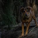 Un sin dueño en el cerro. Un projet de Photographie de Sergio Lantadilla - 14.03.2020