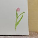 My project in Botanical Illustration with Watercolors course. Un projet de Aquarelle de aisha_almarzoogi - 15.03.2020