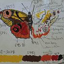 Teoría del color para proyectos textiles (Polilla en camisa). Un proyecto de Bordado y Teoría del color de yaxmin - 05.09.2020