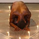 Wüin / Agua . Artes plásticas, Cinema, Vídeo e TV, Desenho, Design de cenários, Multimídia, e Pós-produção audiovisual projeto de Davier Pérez Reynoso - 18.06.2017