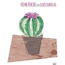 Cáctus. Een project van  Botanische illustratie van Rocío Mira - 20.03.2019