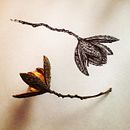 Maticas Silvestres. Een project van  Tekening y  Botanische illustratie van Nathalia López Zambrano - 21.03.2020
