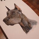 Mi Proyecto del curso: Técnicas experimentales de acuarela para principiantes . Pintura em aquarela projeto de Pedro Armas - 22.03.2020