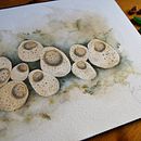 Tunicates. Un proyecto de Bellas Artes de Myriam - 18.04.2020