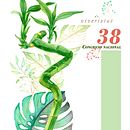 Mi Proyecto del curso: Técnicas aplicadas de ilustración en acuarela. Projekt z dziedziny Malowanie akwarelą użytkownika Griselle Morales Padrón - 11.04.2020