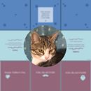 Mi Proyecto del curso: Estrategia de comunicación para redes sociales . % Natalia Corrales tarafından hazırlanan İçerik Pazarlaması, Sos, al Med, Ve a projesi - 03.26.2020