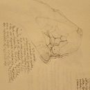 Proyecto dibujo de una mano por día. Een project van  Tekening van Oscar Hernández Gómez - 27.03.2020