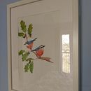  Nuthatch on a branch. Un projet de Illustration botanique , et Aquarelle de riehl_julie - 23.11.2019