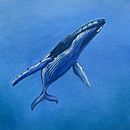 Isolation of a whale . Projekt z dziedziny Malarstwo akr, lowe,  R, sunek art, st, czn,  R, sunek,  Haft, Multimedia, R, sunek ołówkiem, R, sunek realist, czn, Sketching, Portale społecznościowe i Malowanie akwarelą użytkownika Melanie Feltham - 25.03.2020