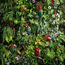 Canopy. Un proyecto de Collage, Fotografía digital y Bellas Artes de Nick Pedersen - 01.04.2020