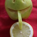 Fruit Sculpture. Un proyecto de Creatividad y Escultura de Natércia Lameiro - 01.04.2020