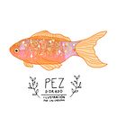 Estrategia de marca en Instagram: Pez Dorado MX I Ilustración por Lau Cardona. Un proyecto de Bellas Artes, Diseño, Ilustración tradicional, Ilustración digital, Instagram y Marketing Digital de Laura Cardona - 01.04.2020